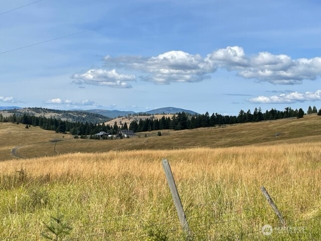 111 TBD Davies Road , Oroville, WA 98844