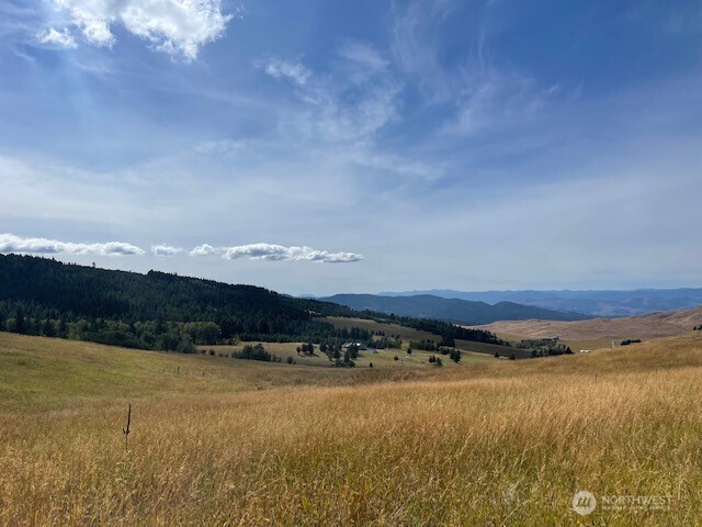 111 TBD Davies Road , Oroville, WA 98844