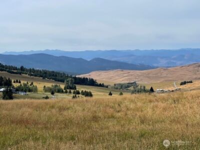 111 TBD Davies Road , Oroville, WA 98844 - Photo 6