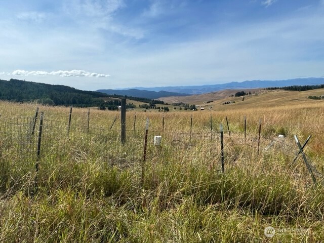 111 TBD Davies Road , Oroville, WA 98844