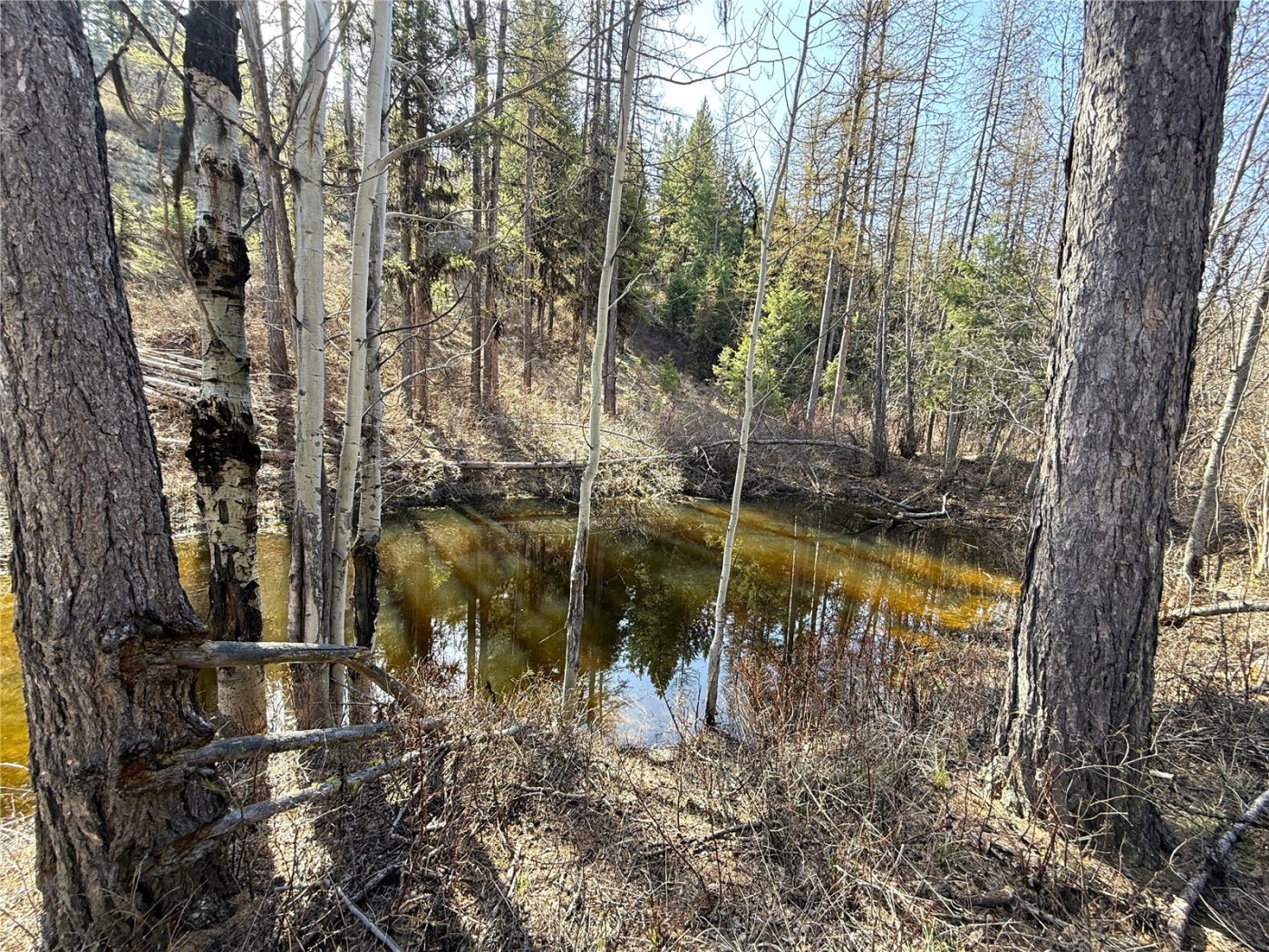 0 TBD Give Out Creek Road , Wauconda, WA 98859