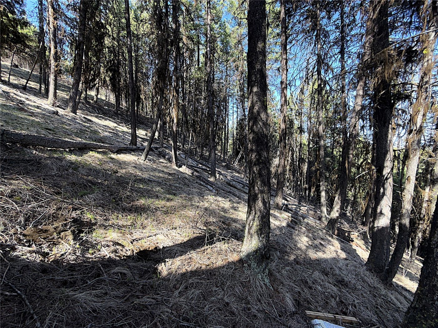 0 TBD Give Out Creek Road , Wauconda, WA 98859