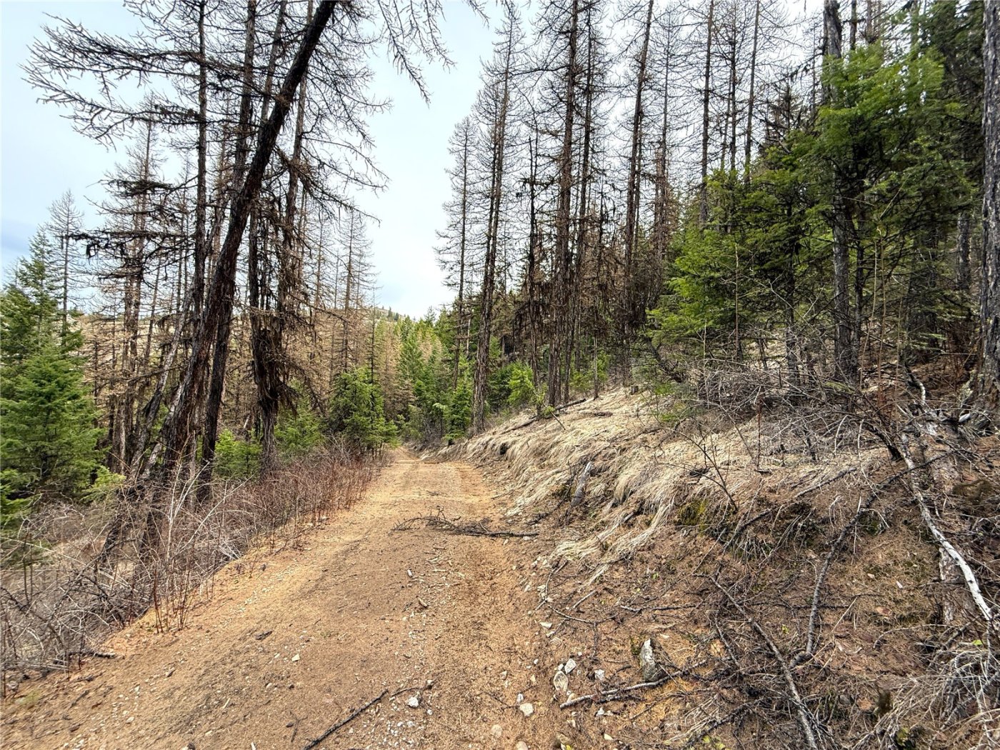 0 TBD Give Out Creek Road , Wauconda, WA 98859