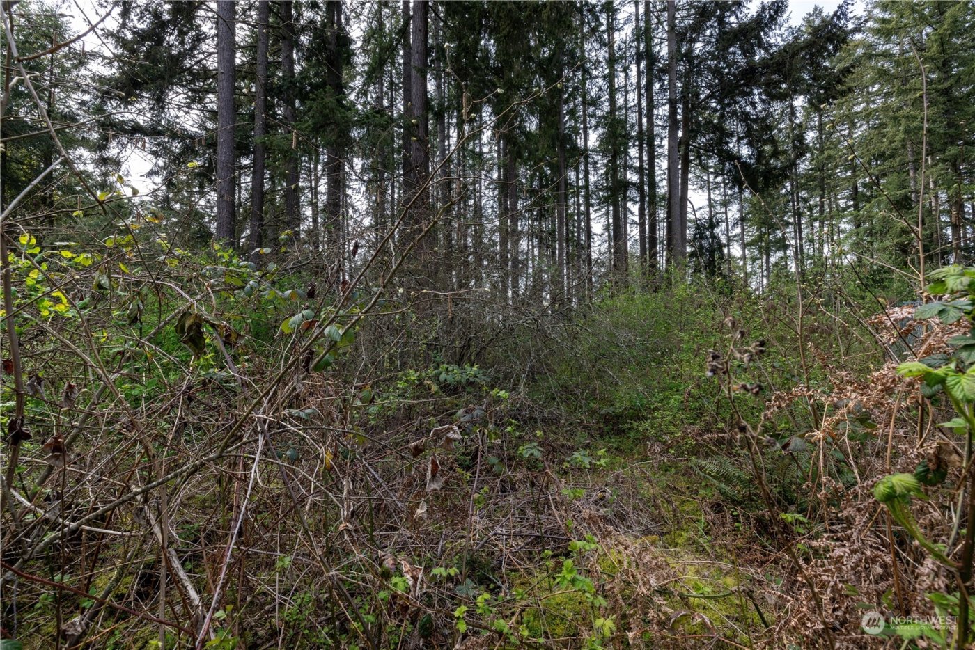 0 (Lot 2) 95th Avenue Ct E, Graham, WA 98338