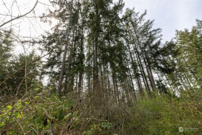 0 (Lot 2) 95th Avenue Ct E, Graham, WA 98338 - Photo 3