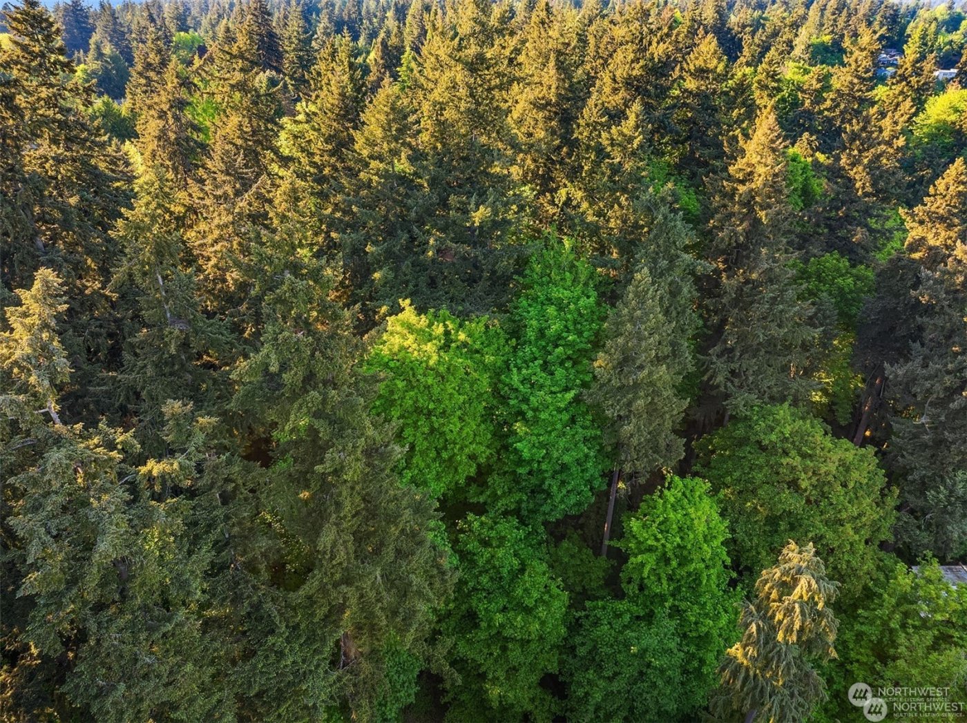 0 XXX 91st Avenue SE, Mercer Island, WA 98040