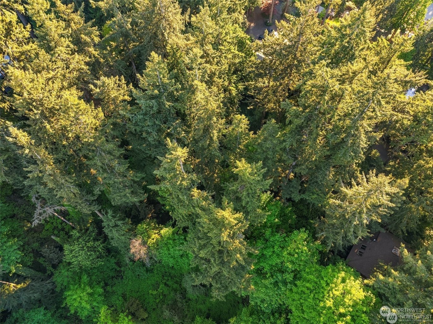 0 XXX 91st Avenue SE, Mercer Island, WA 98040