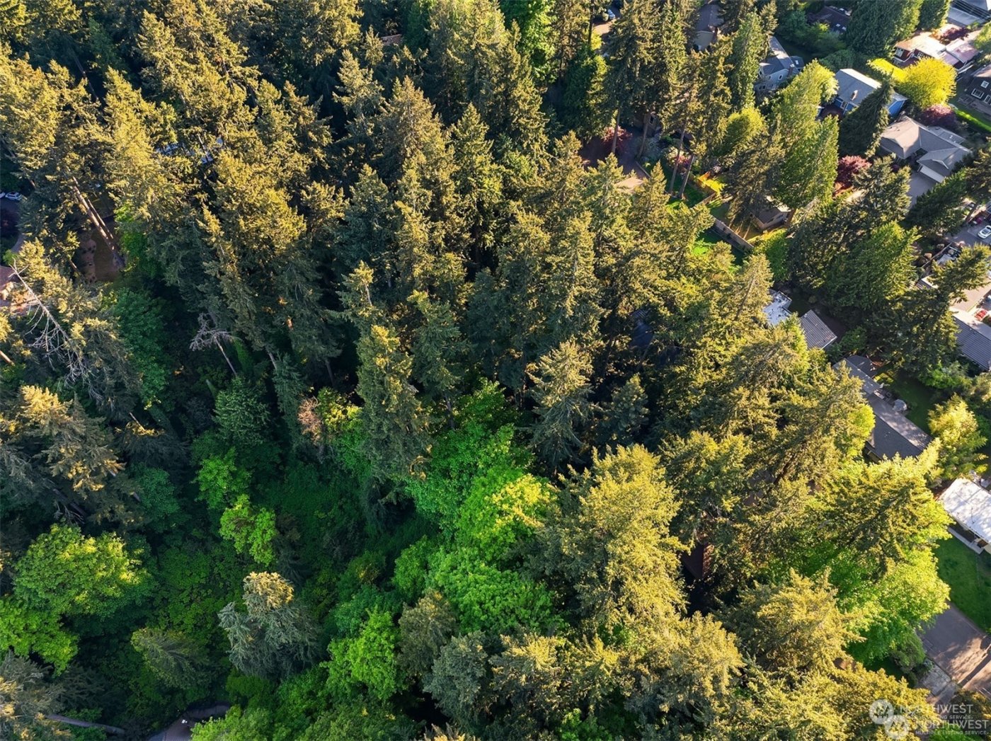 0 XXX 91st Avenue SE, Mercer Island, WA 98040