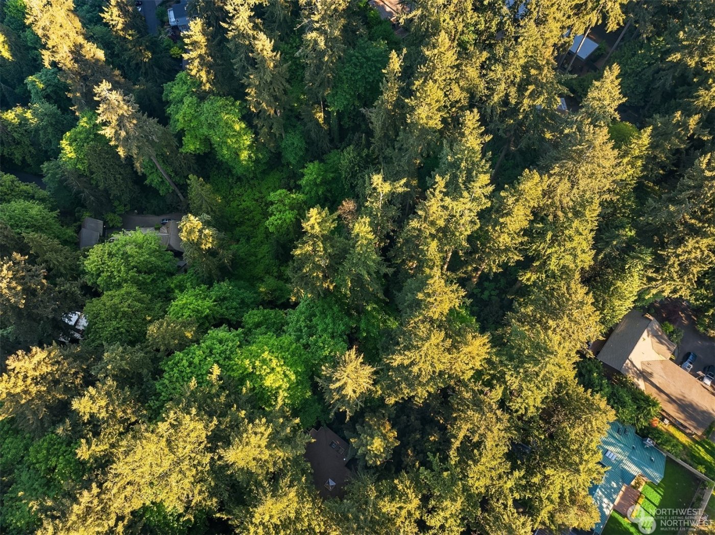 0 XX23 91 st Avenue SE, Mercer Island, WA 98040