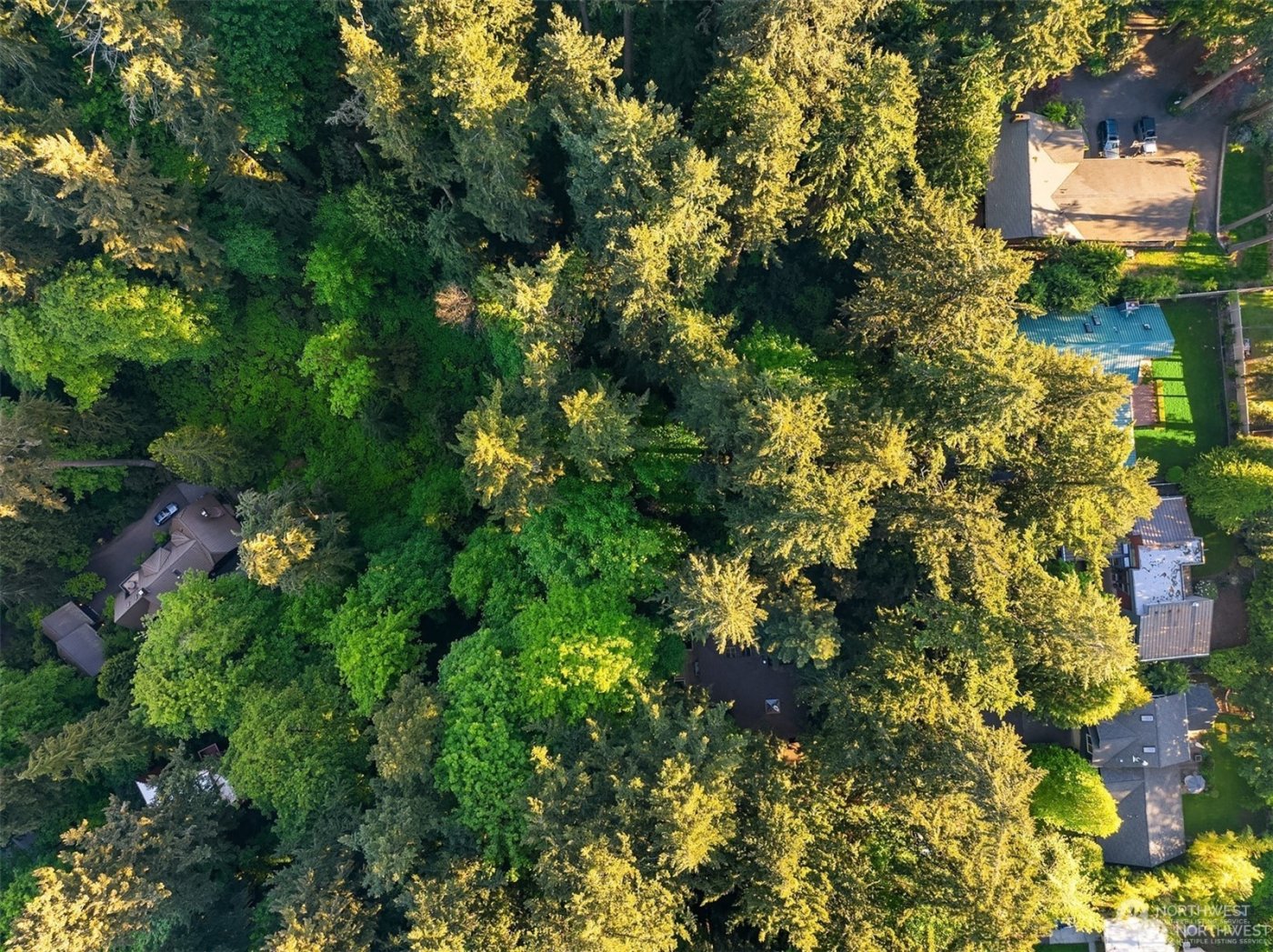 0 XX23 91 st Avenue SE, Mercer Island, WA 98040