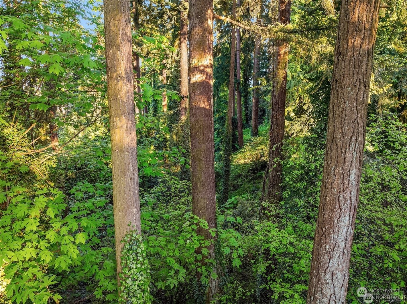 0 XX23 91 st Avenue SE, Mercer Island, WA 98040