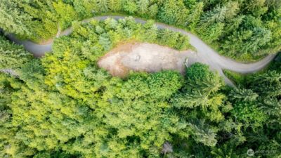 9999 S Old Mill Road , Port Angeles, WA 98362 - Photo 4