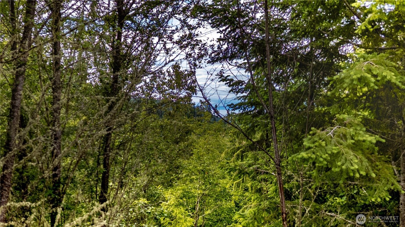 9999 S Old Mill Road , Port Angeles, WA 98362