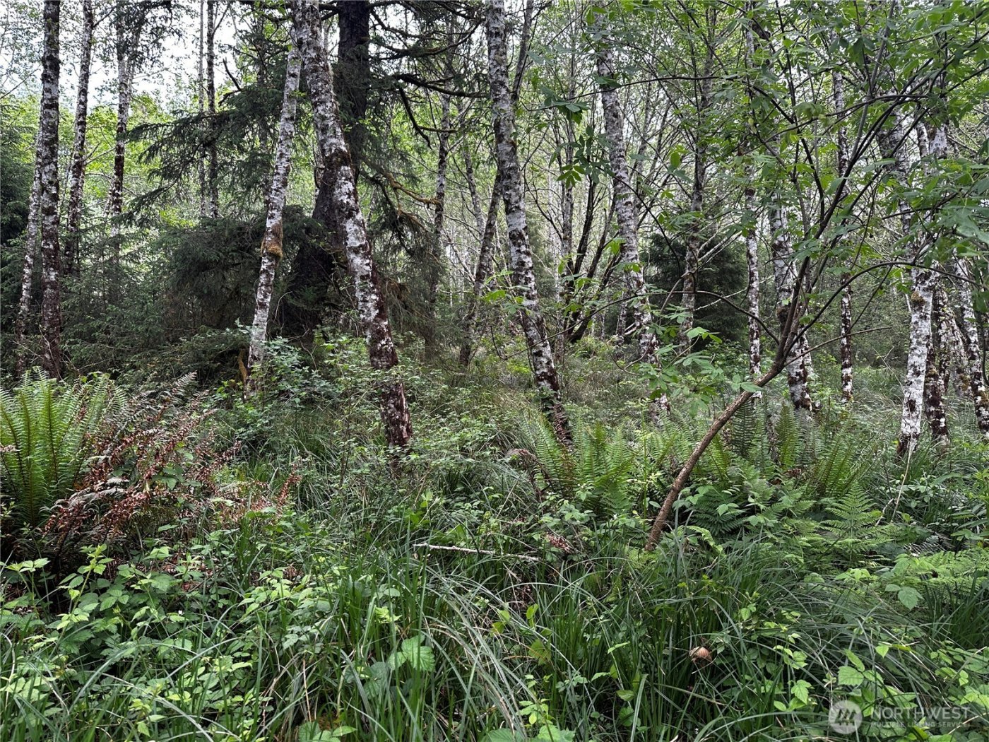 31104 Sandridge Road , Oysterville, WA 98640