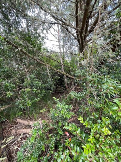 572 DUCK LAKE Drive NE, Ocean Shores, WA 98569 - Photo 11