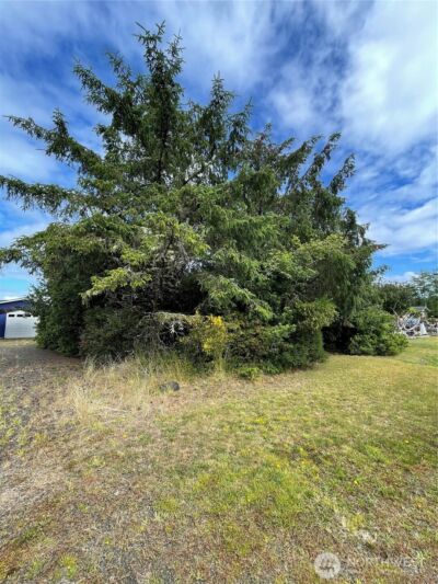 572 DUCK LAKE Drive NE, Ocean Shores, WA 98569 - Photo 12