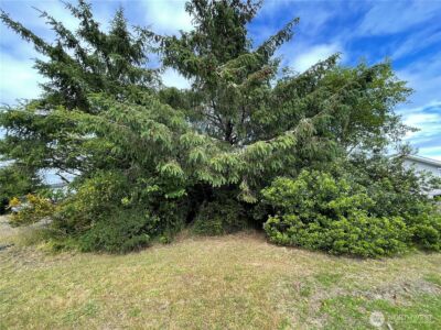 572 DUCK LAKE Drive NE, Ocean Shores, WA 98569 - Photo 3