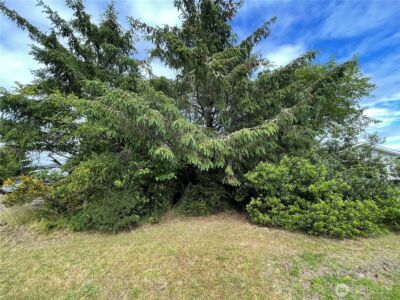 572 DUCK LAKE Drive NE, Ocean Shores, WA 98569 - Photo 5