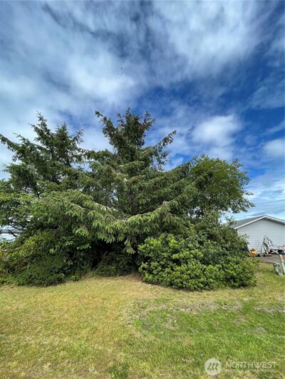 572 DUCK LAKE Drive NE, Ocean Shores, WA 98569 - Photo 10