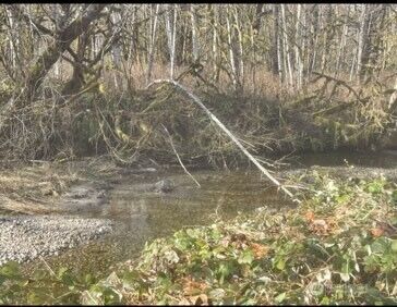 0 Sauk Road , Rockport, WA 98237 - Photo 1