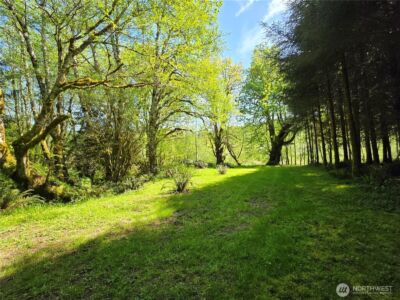 151 Klahn Road , Forks, WA 98331 - Photo 12