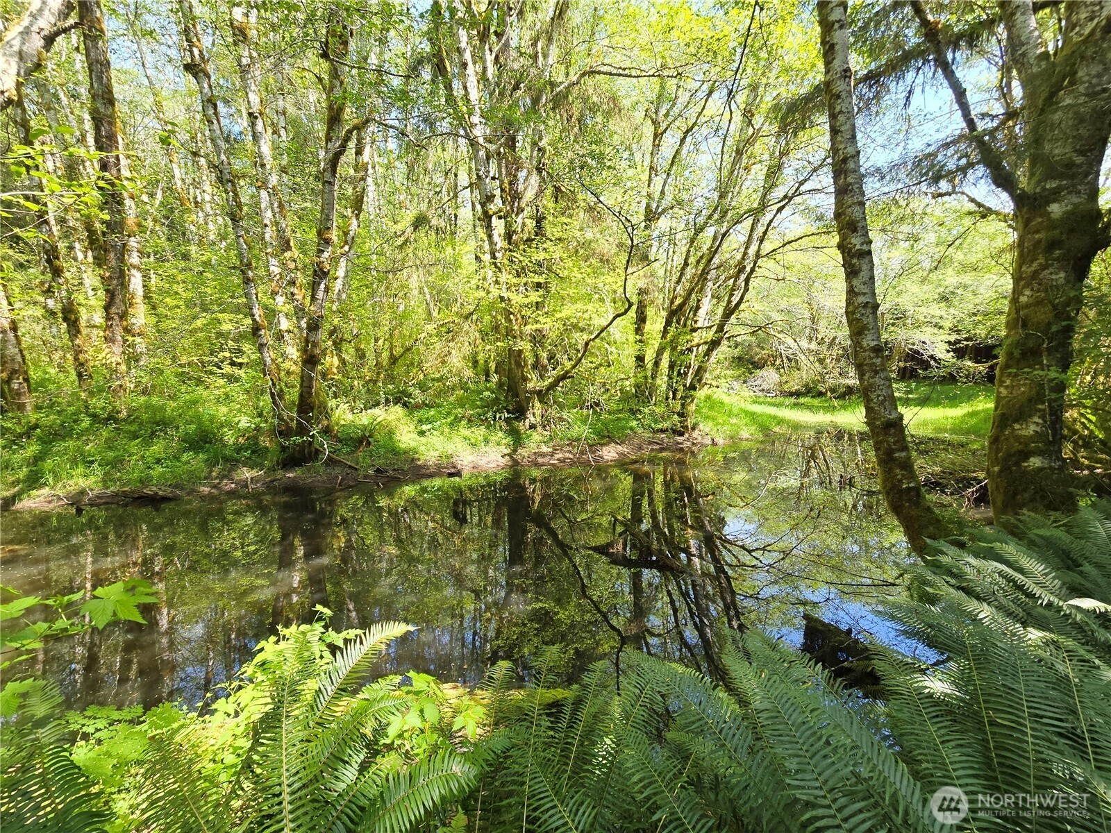 151 Klahn Road , Forks, WA 98331