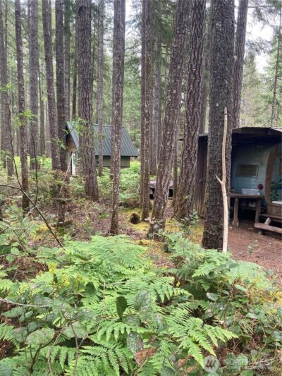 40 N Snapper Drive , Hoodsport, WA 98548