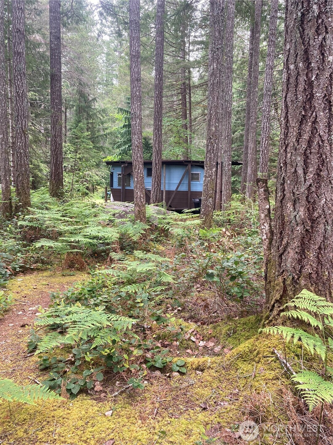 40 N Snapper Drive , Hoodsport, WA 98548