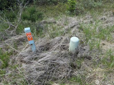 421 S Portal Loop SW, Ocean Shores, WA 98569 - Photo 2
