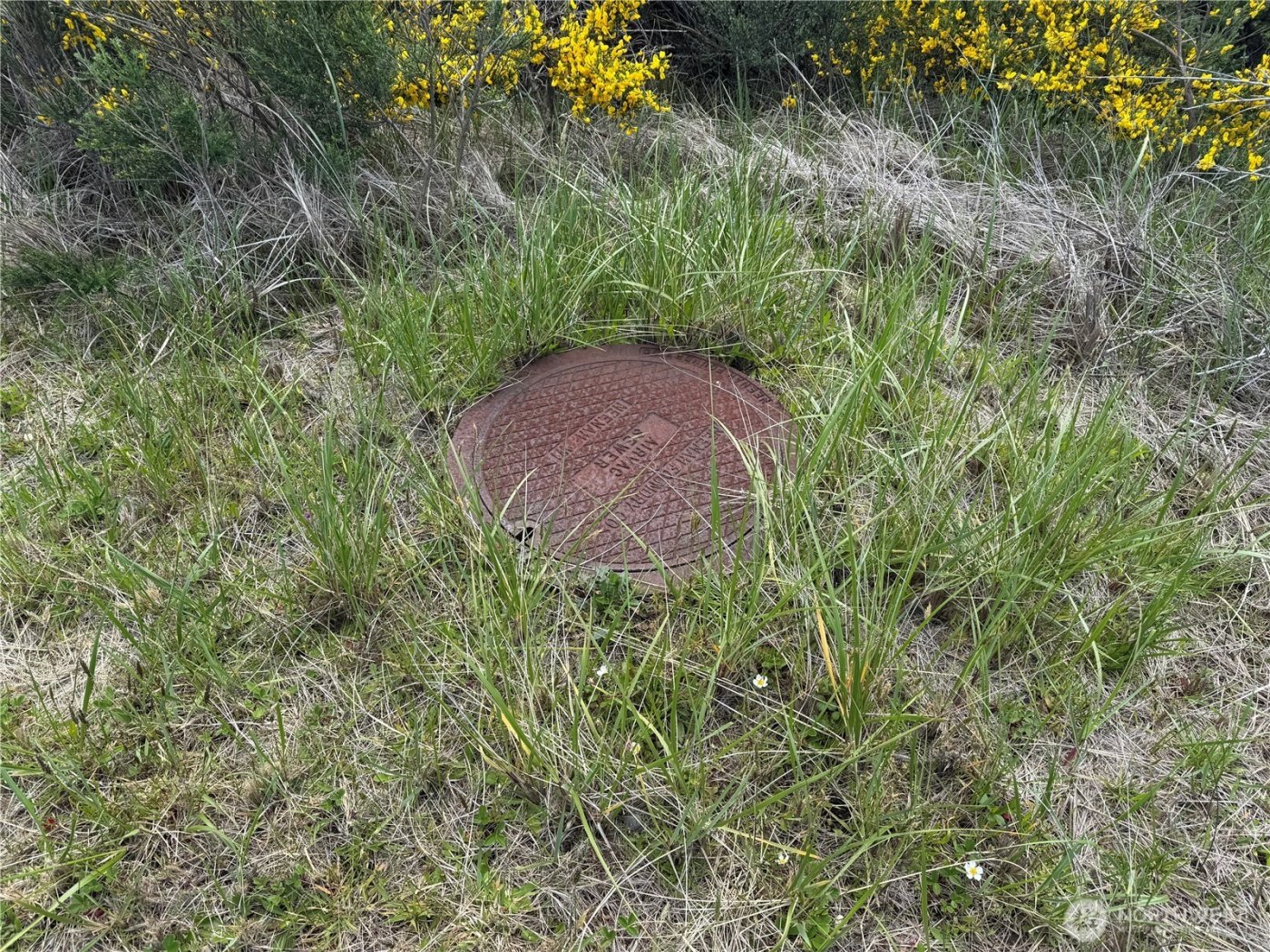 421 S Portal Loop SW, Ocean Shores, WA 98569