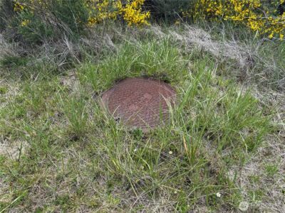 421 S Portal Loop SW, Ocean Shores, WA 98569 - Photo 3