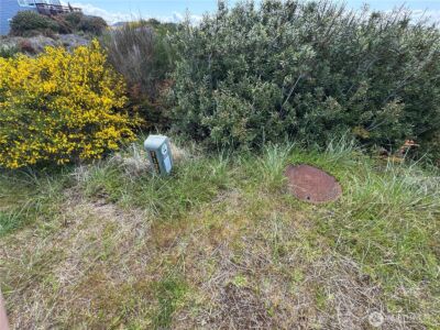 421 S Portal Loop SW, Ocean Shores, WA 98569 - Photo 6