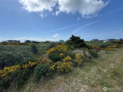 421 S Portal Loop SW, Ocean Shores, WA 98569 - Photo 7