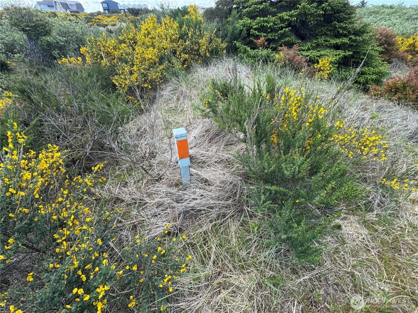 421 S Portal Loop SW, Ocean Shores, WA 98569