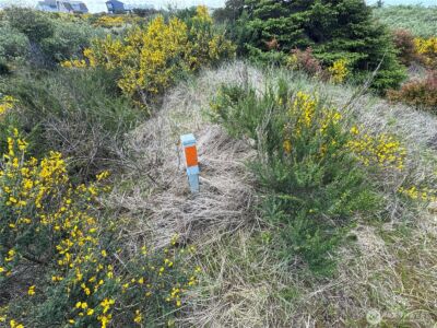 421 S Portal Loop SW, Ocean Shores, WA 98569 - Photo 8