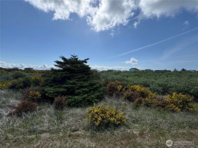 421 S Portal Loop SW, Ocean Shores, WA 98569 - Photo 9