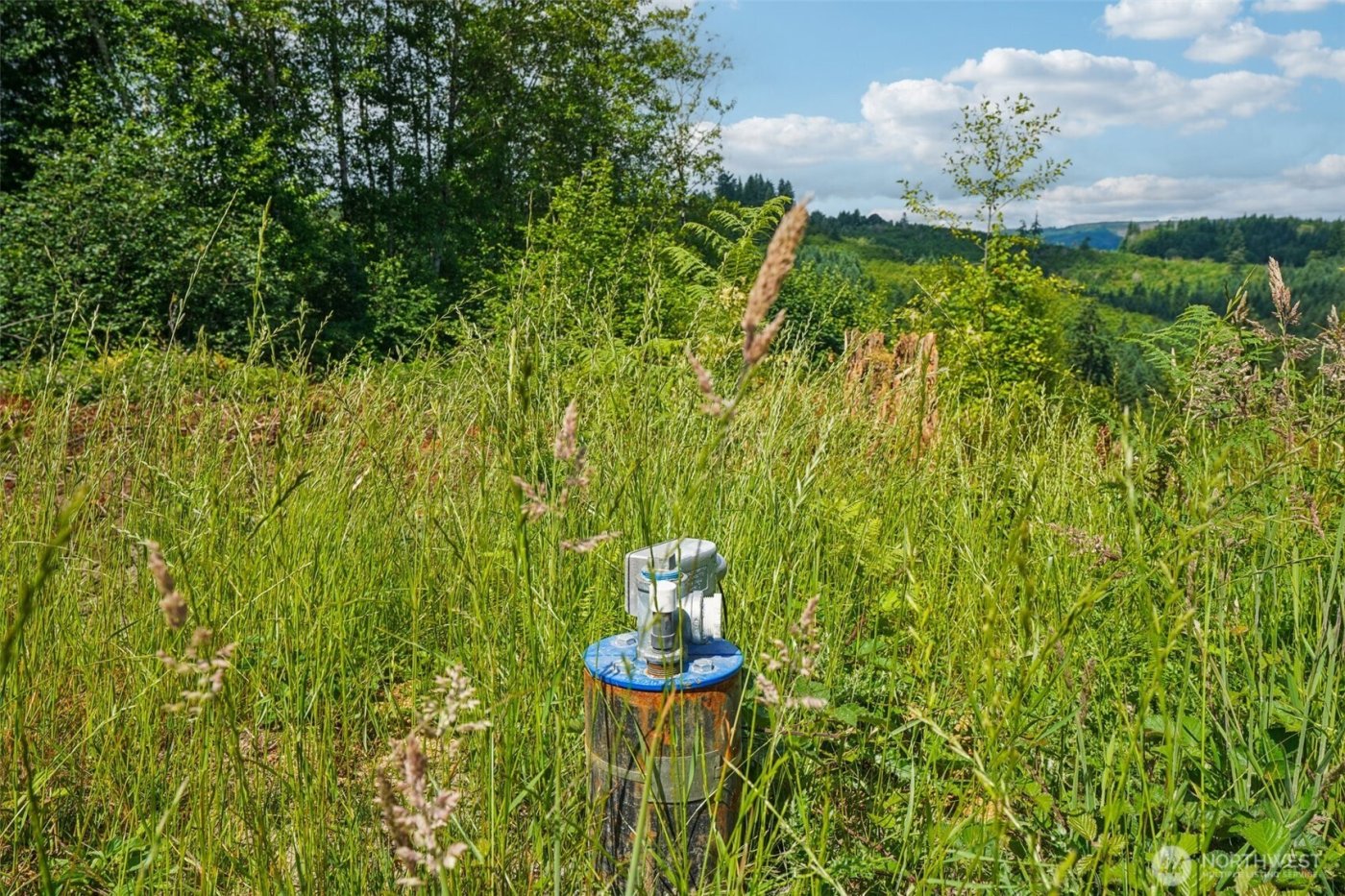 1830 Hazel Dell Road #Lot 2, Castle Rock, WA 98611