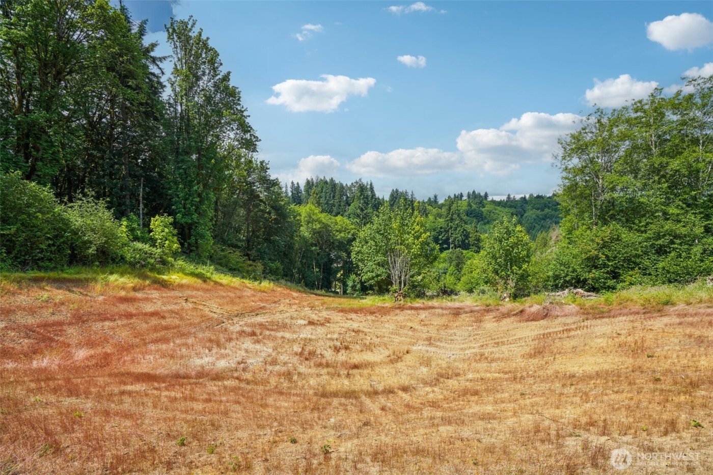 1830 Hazel Dell Road #Lot 2, Castle Rock, WA 98611