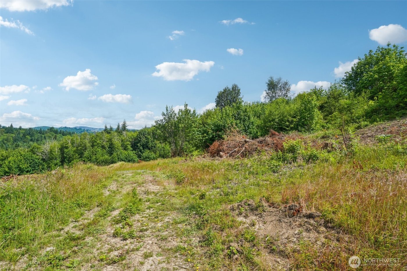 1830 Hazel Dell Road #Lot 2, Castle Rock, WA 98611