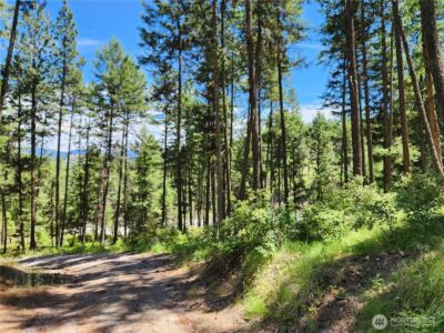 0 Lot 302 Klondike Road , Republic, WA 99166
