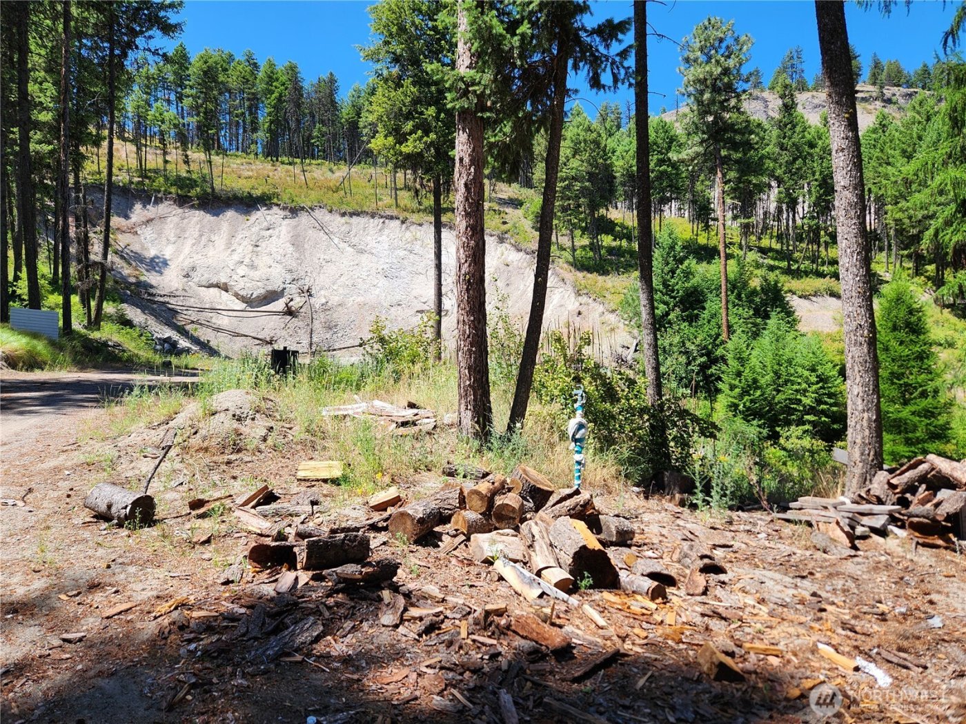 0 Lot 302 Klondike Road , Republic, WA 99166