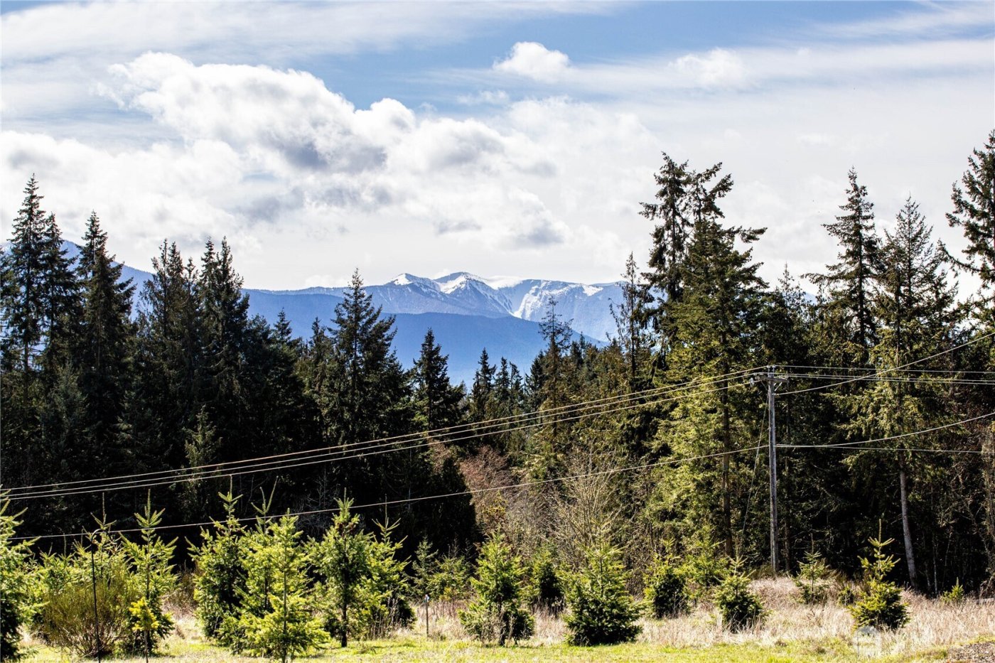 341 Sherburne Road , Sequim, WA 98382