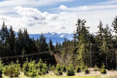 341 Sherburne Road , Sequim, WA 98382 - Photo 9
