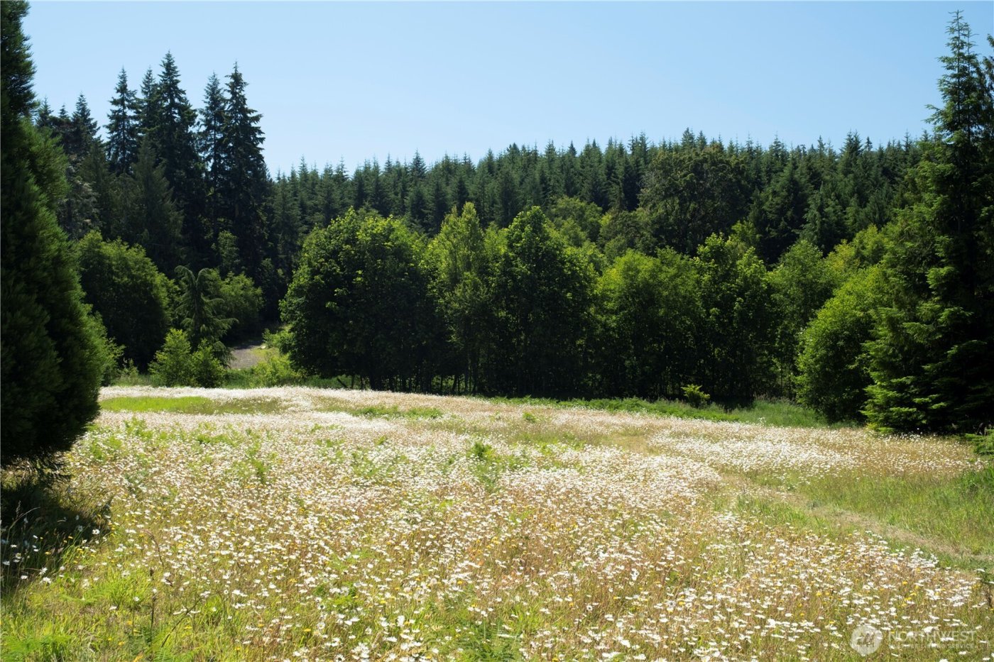 1048 Peters Road , Port Angeles, WA 98363