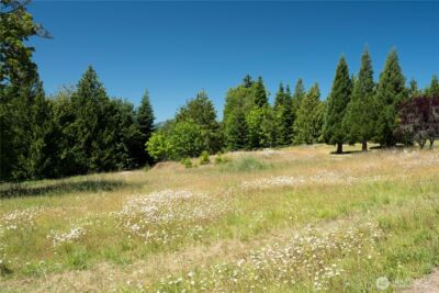 1048 Peters Road , Port Angeles, WA 98363 - Photo 17
