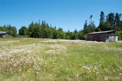 1048 Peters Road , Port Angeles, WA 98363 - Photo 18