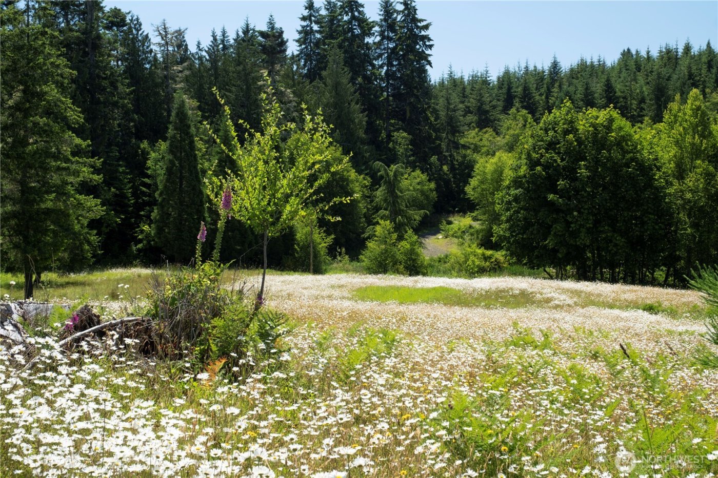 1048 Peters Road , Port Angeles, WA 98363