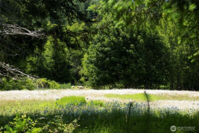 1048 Peters Road , Port Angeles, WA 98363 - Photo 21
