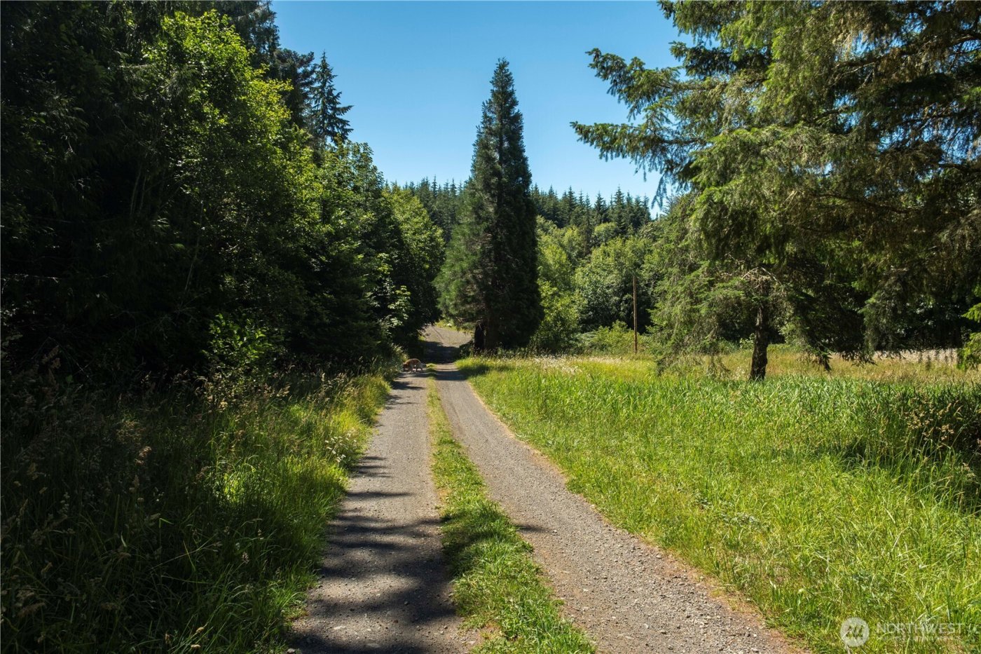 1048 Peters Road , Port Angeles, WA 98363