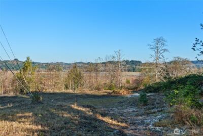 0 X Morris Street , Raymond, WA 98577 - Photo 7